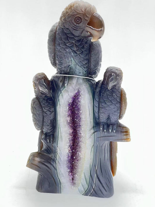 Amethyst Druzy Agate Parrot Family