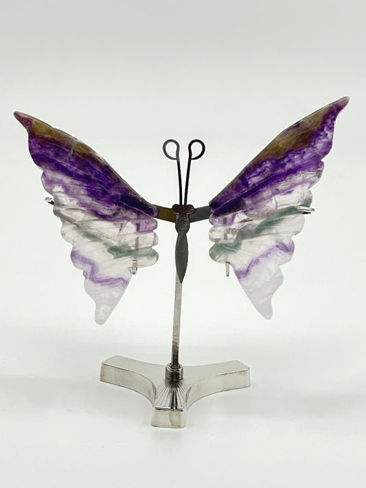 Rainbow Fluorite Butterfly Wing