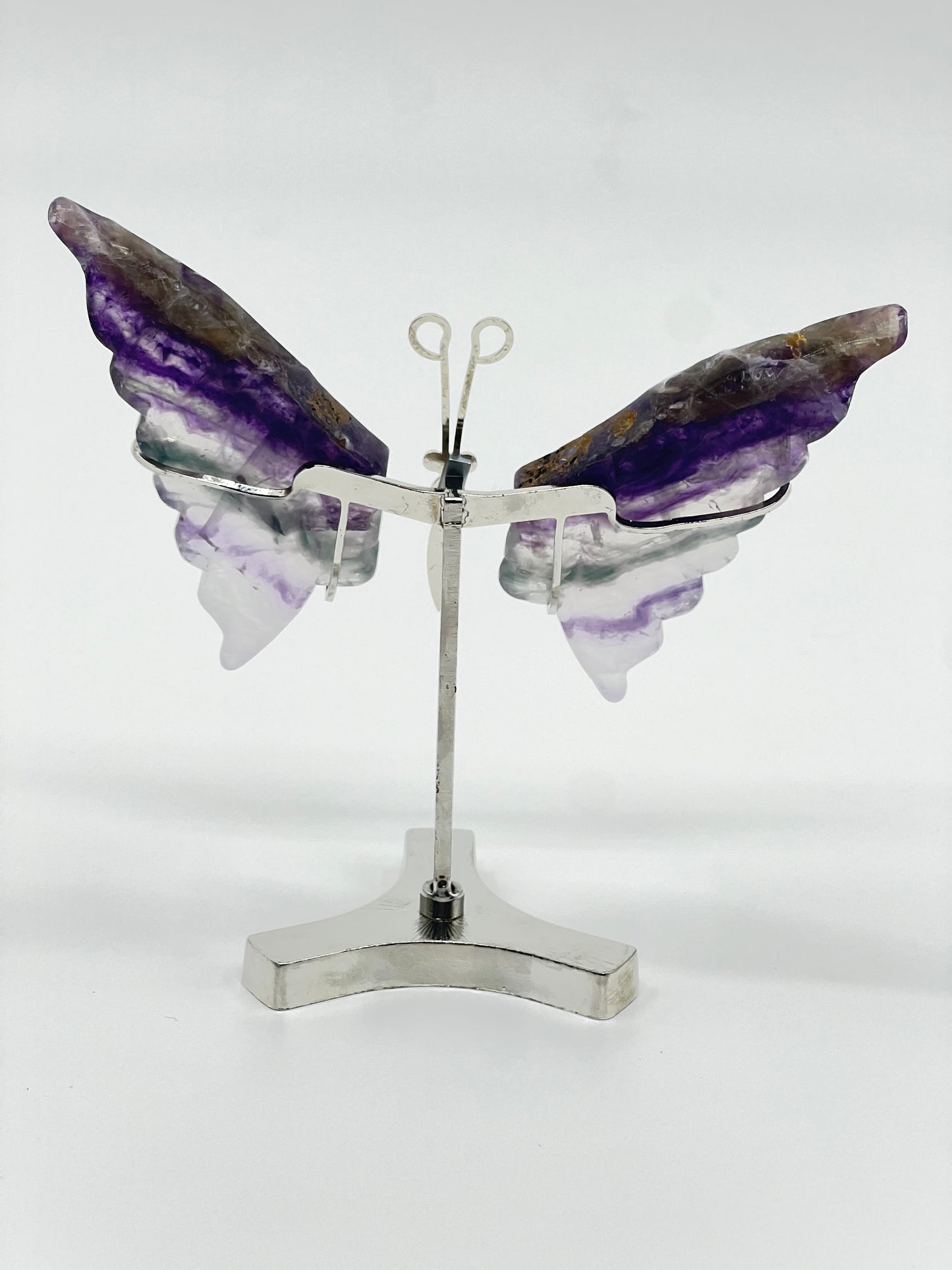 Rainbow Fluorite Butterfly Wing