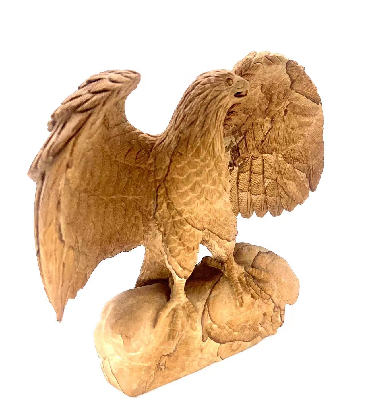 Picture Jasper Hawk