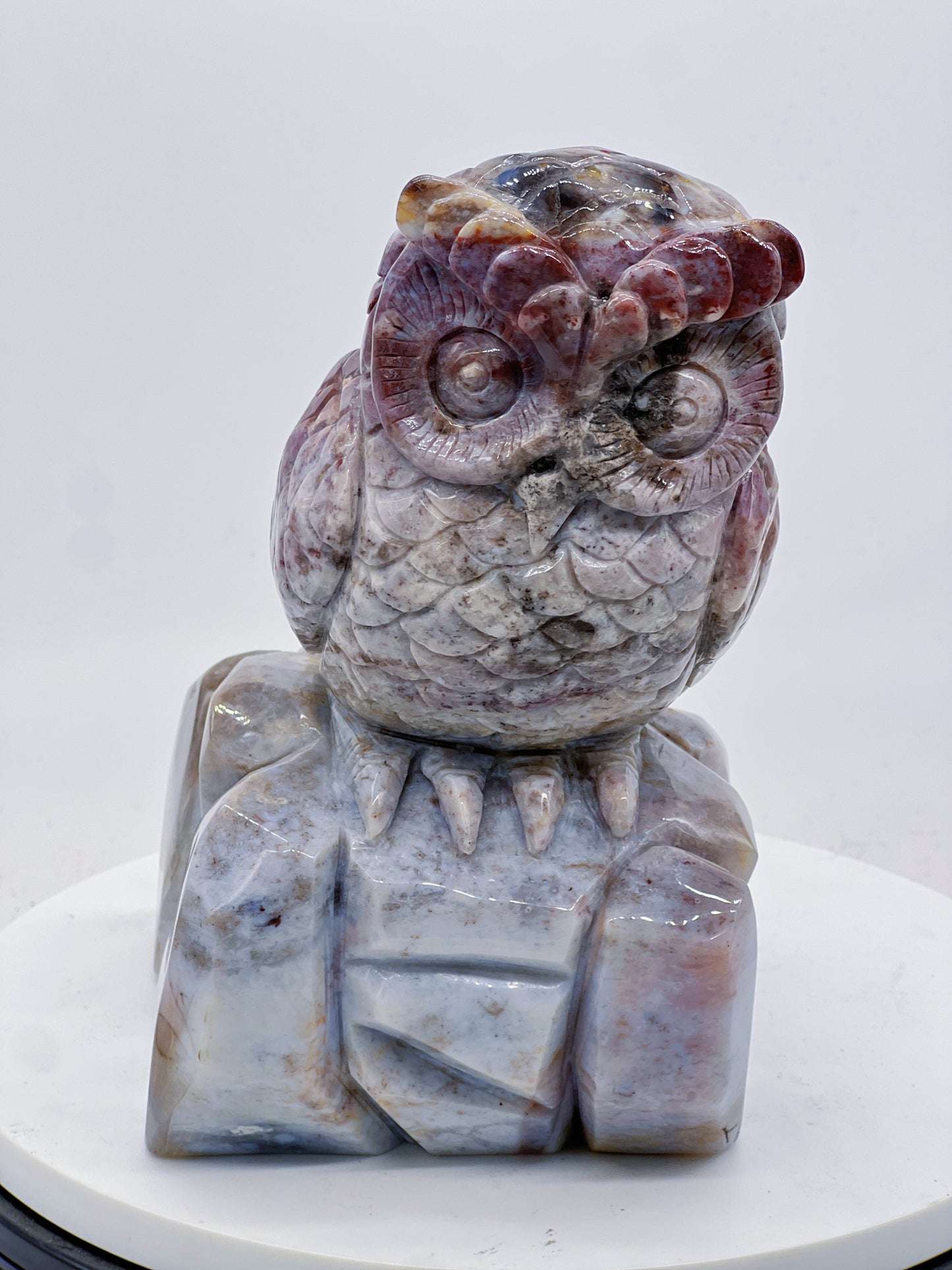 Oceal Jasper Owl