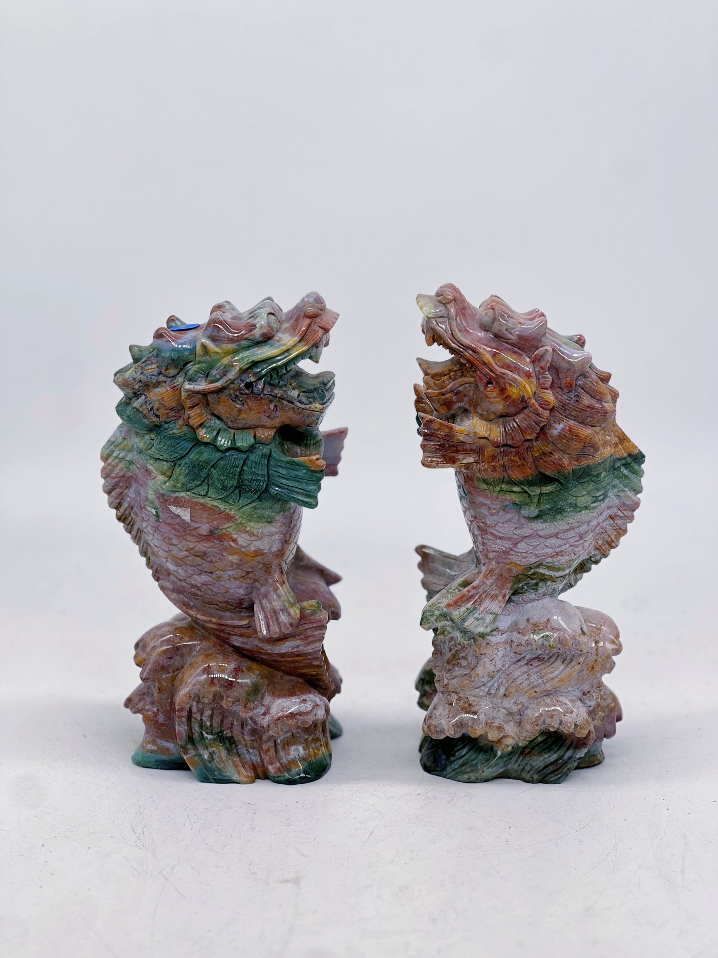 Ocean Jasper Dragon Fish Pair