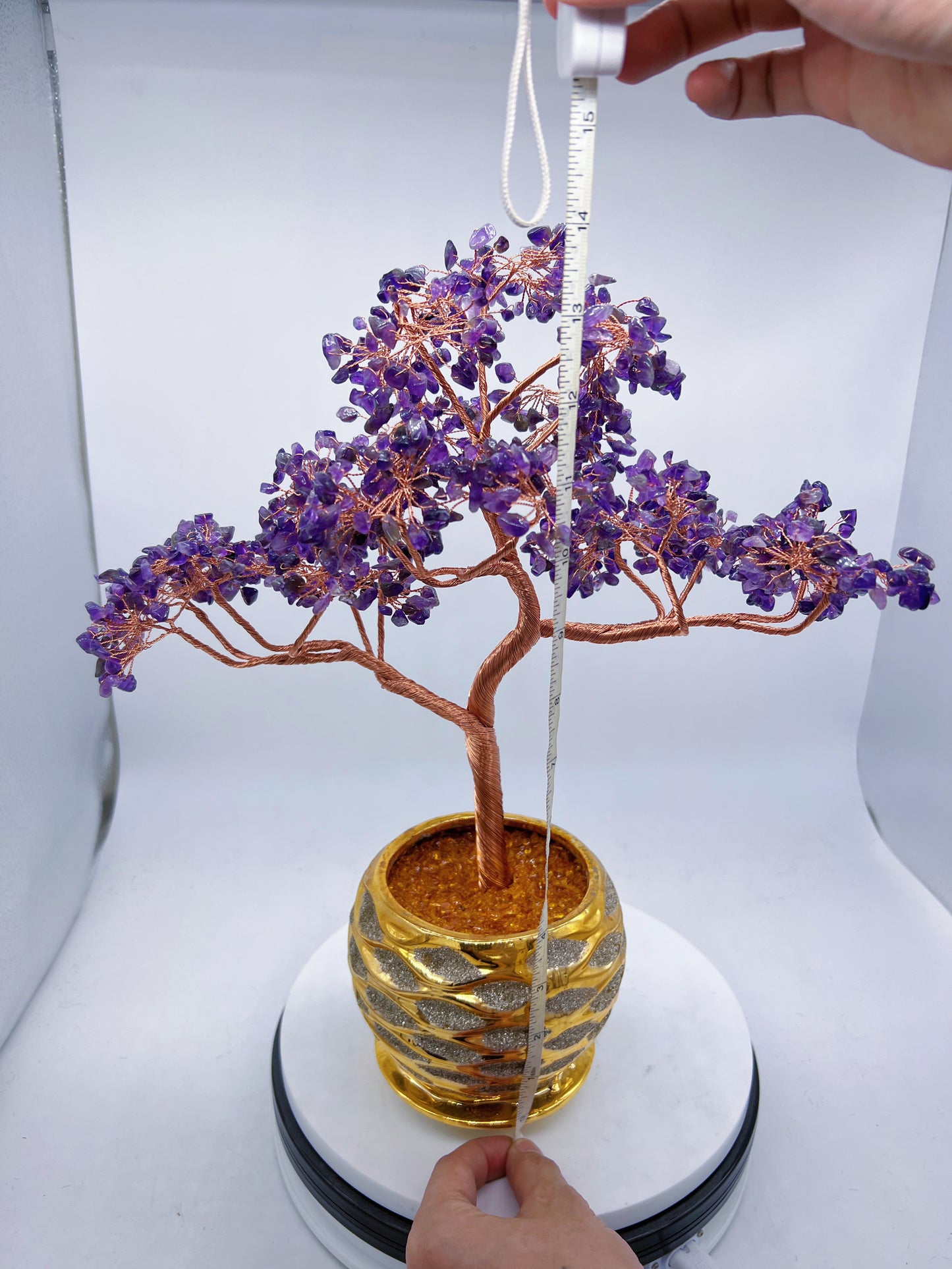 Money Tree 14 inches